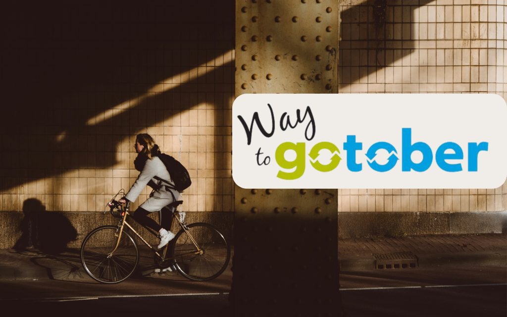 A person wearing a sweater rides a bike under a bridge on a sunny fall day.